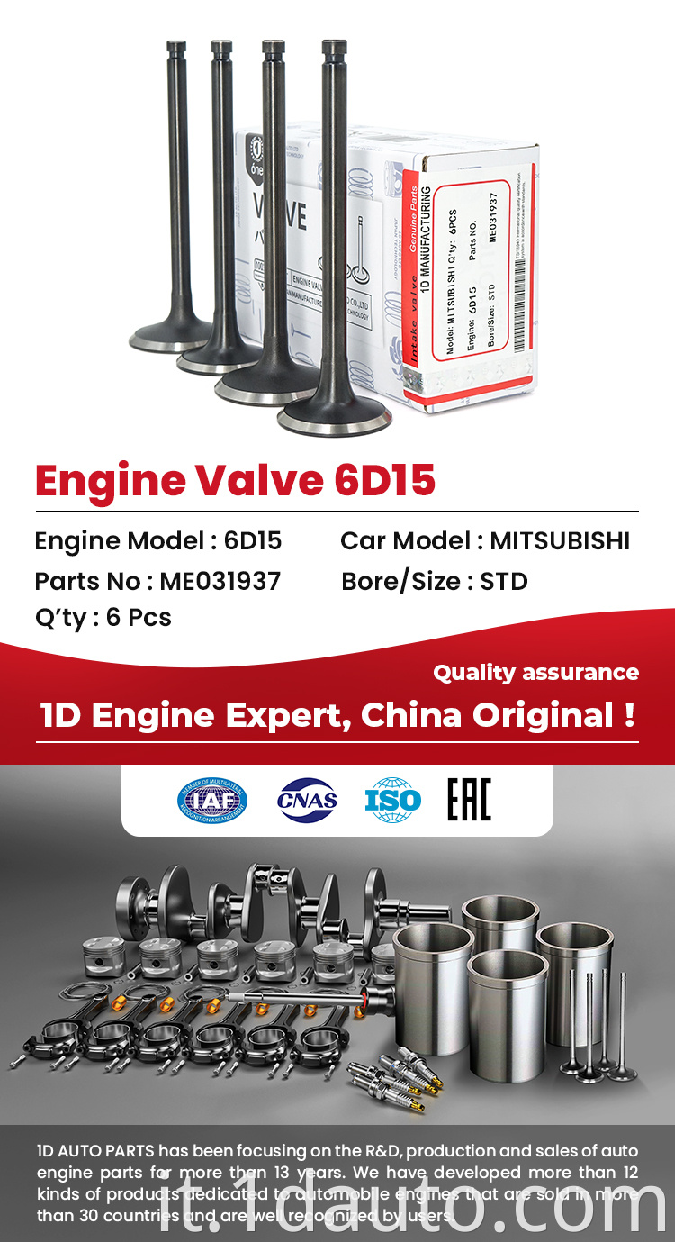 MITSUBISHI 6d15 Engine Valves 